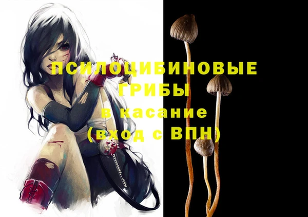ешки Верхний Тагил