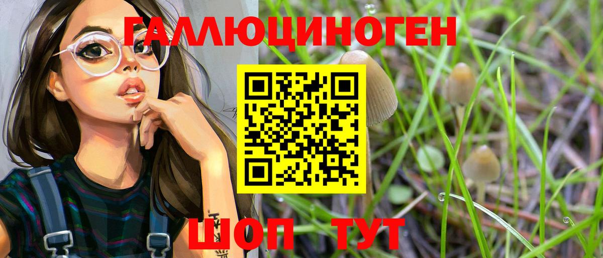 Галлюциногенные грибы GOLDEN TEACHER Медногорск
