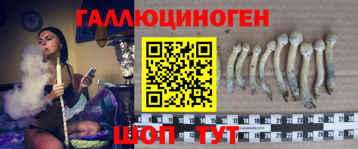 Псилоцибиновые грибы мухоморы  Вход с VPN  Медногорск 